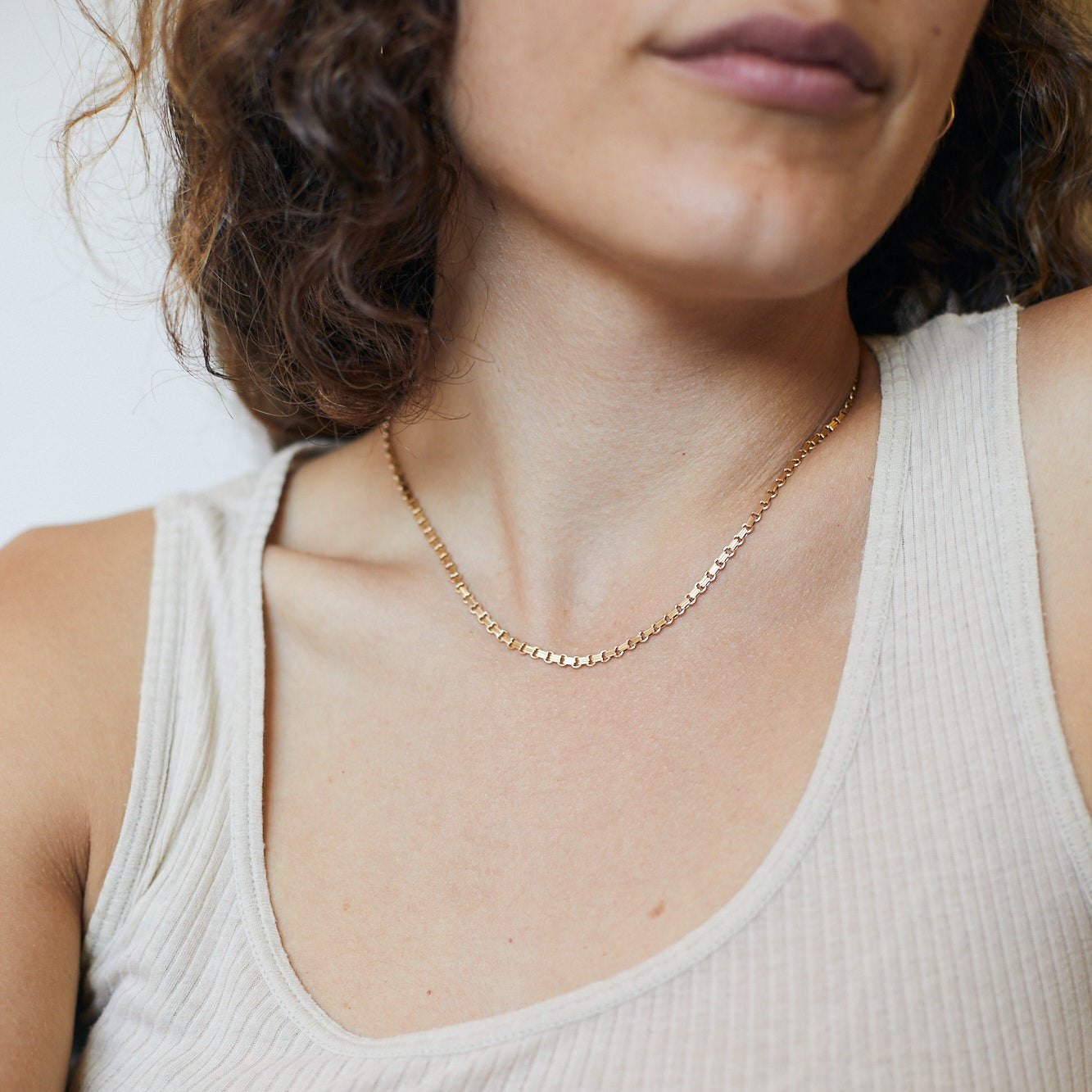 שרשרת חוליות לולאה | גולדפילד